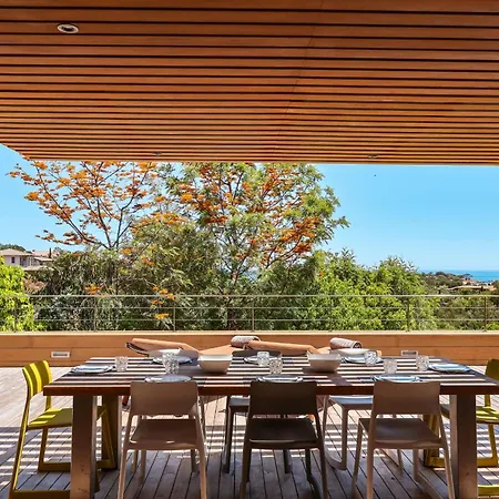 Terra Di Palombaggia Bocca del Oro