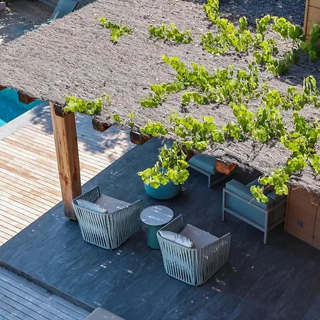 Terra Di Palombaggia *