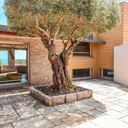 Terra Di Palombaggia *